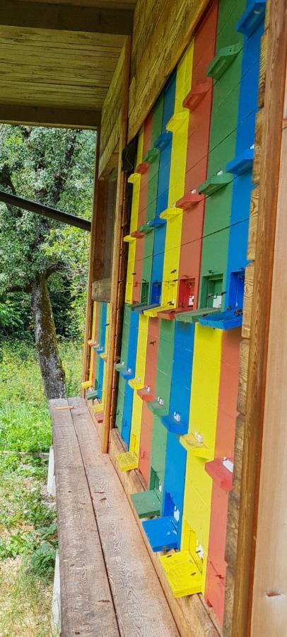 Bed and Breakfast Nona BB Postojna Exterior foto